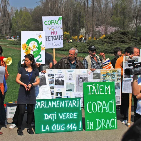 Numeroşi bucureşteni au dat bani ca să sensibilizeze autorităţile să nu mai distrugă spaţiile verzi