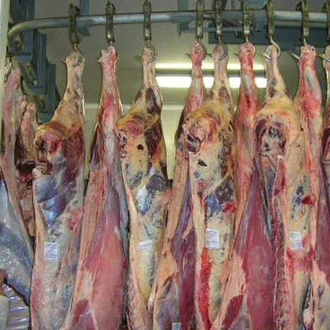 Numărul sacrificărilor de porcine, păsări, ovine şi caprine a crescut, în februarie 