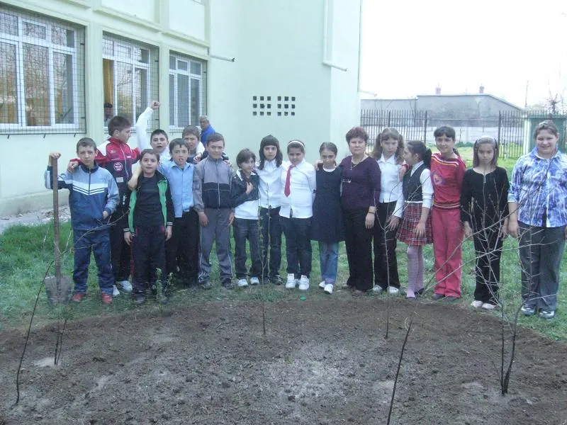 Elevii unei şcoli din Braăila au plantat copaci