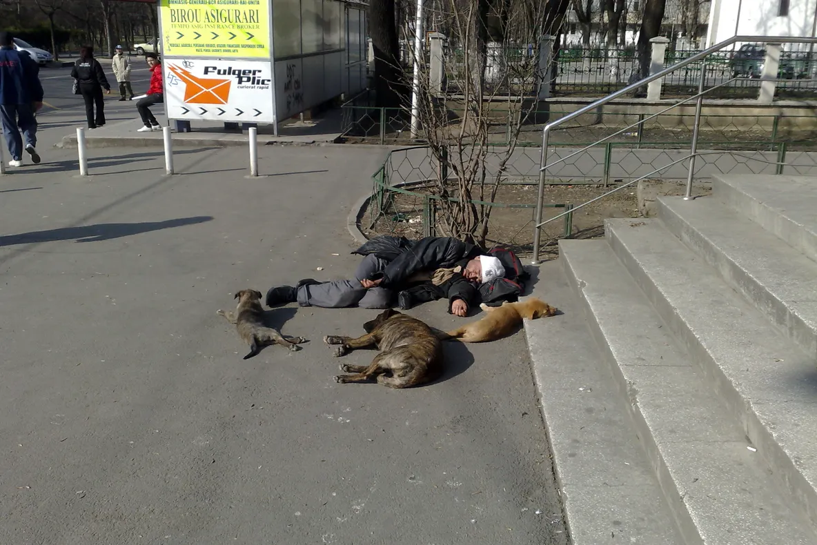 Somn de primăvară