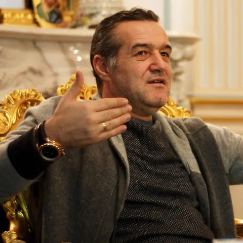 Becali a făcut plângere la Comisia pentru cercetarea abuzurilor din Senat