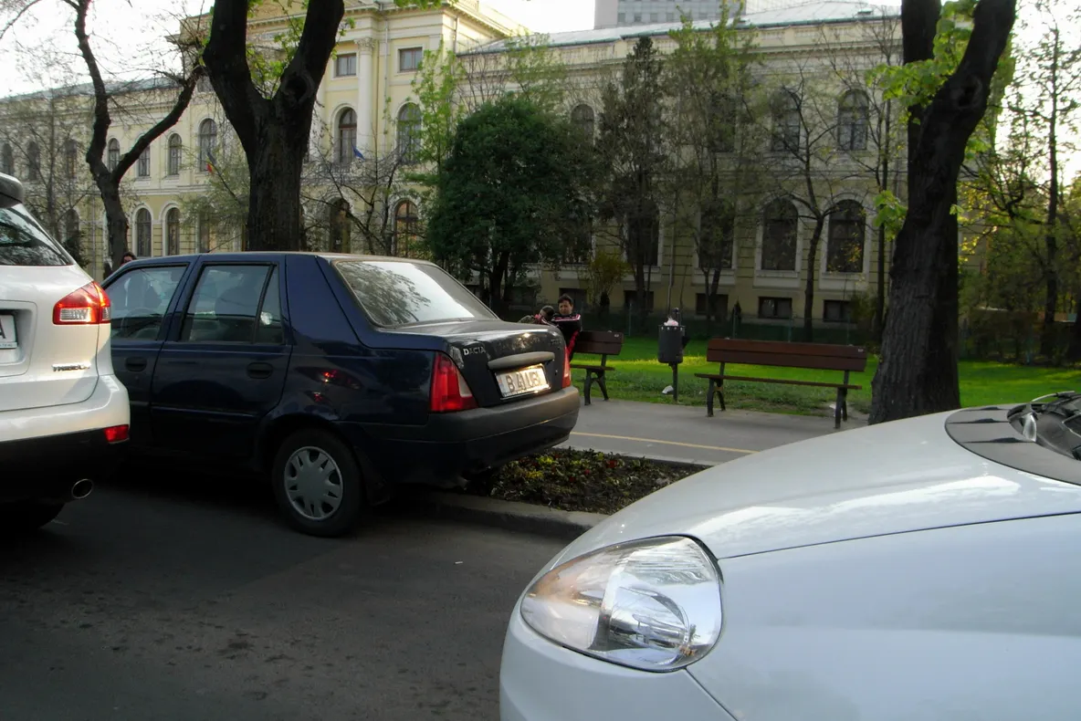 În Craiova, o maşină a fost parcată pe florile de pe marginea şoselei