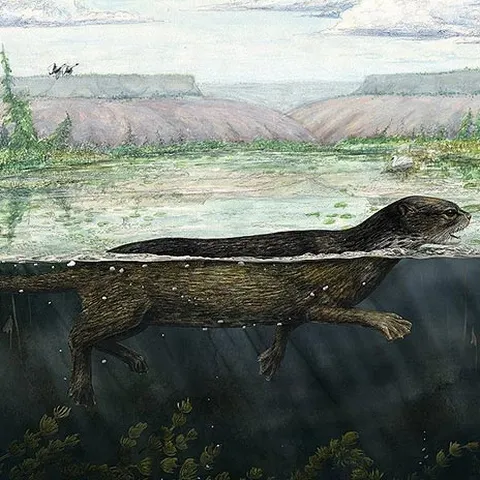 Puijila Darwin, foca cu picioare, ne arată cum au evoluat focile moderne