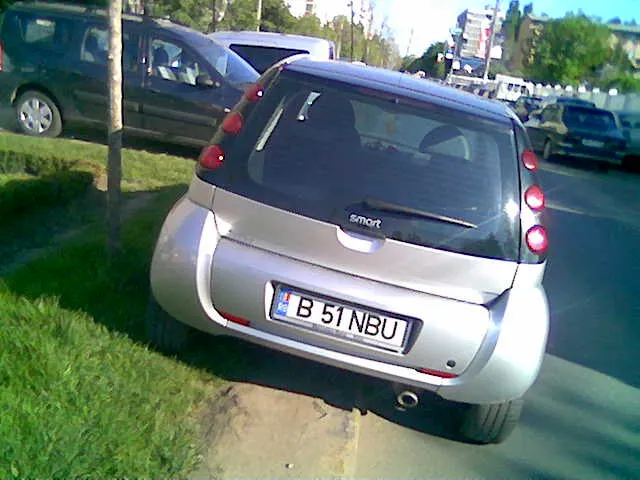 Parcat pe spaţiul verde