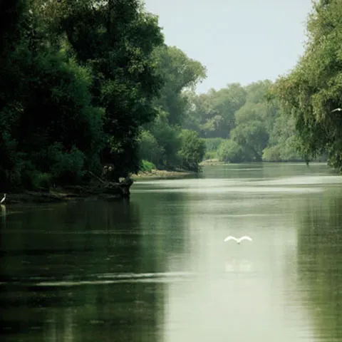 Ministerul Turismului vrea să facă un film despre potenţialul turistic al Deltei Dunării