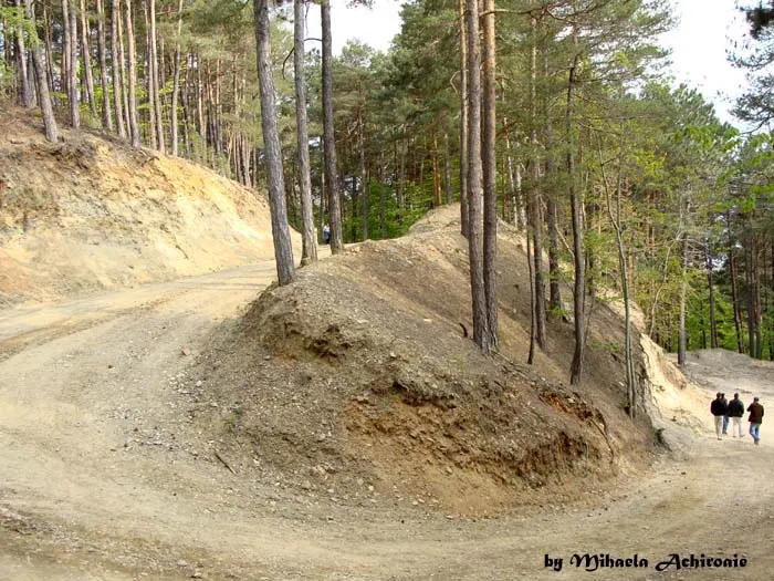 Rezervaţia paleontologică - Deal Cozla din Piatra Neamţ