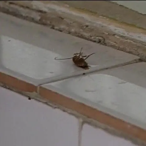 Şapte copii s-au intoxicat cu insecticid în Spitalul de Pediatrie din Piteşti 