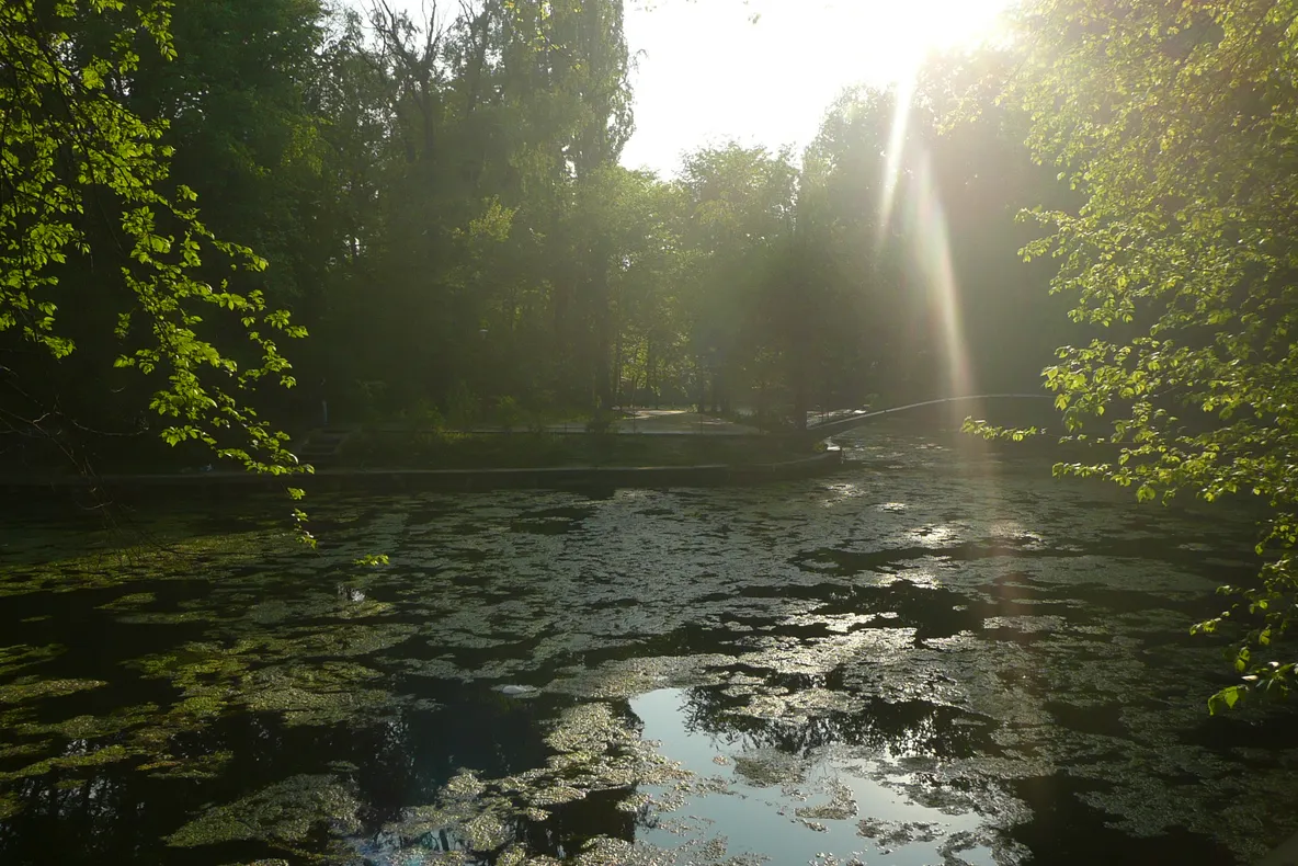 Lac necurăţat în Capitală