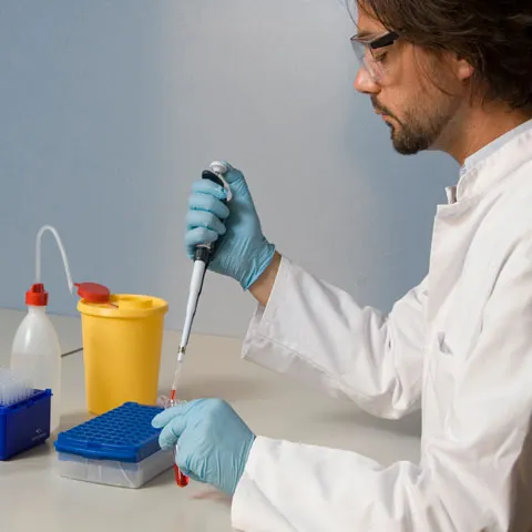 Companiile farmaceutice au început să lucreze la un vaccin împotriva gripei porcine