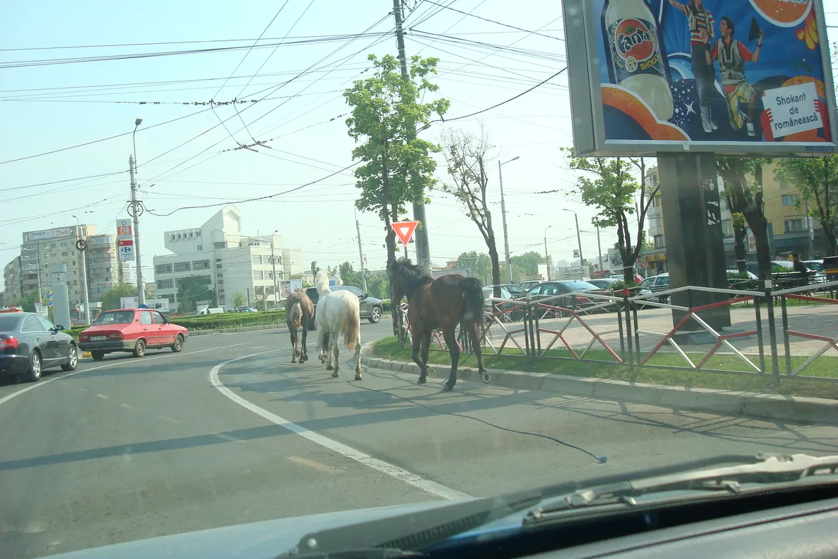 Intersecţia Podul Roş, banda pentru autobuze