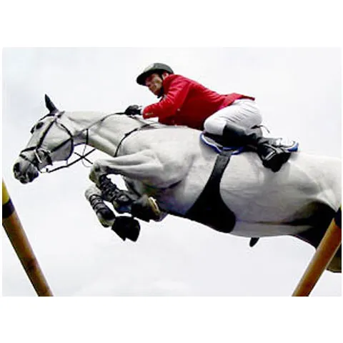 Romanian tourism to be embellished with an equestrian circuit, minister promises