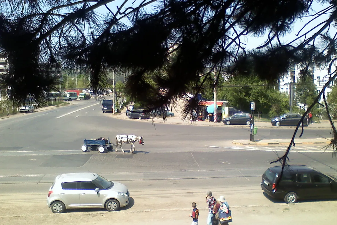 Căruţaş dormind la plimbare prin Cluj