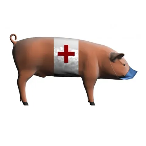 Ciocniri violente la Cairo, între crescătorii de porci şi poliţia care vrea să sacrifice animalele