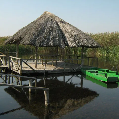 Turiştii din Parcul Natural Comana au aprins focul şi au lăsat deşeuri de 1 Mai, fără să fie amendaţi