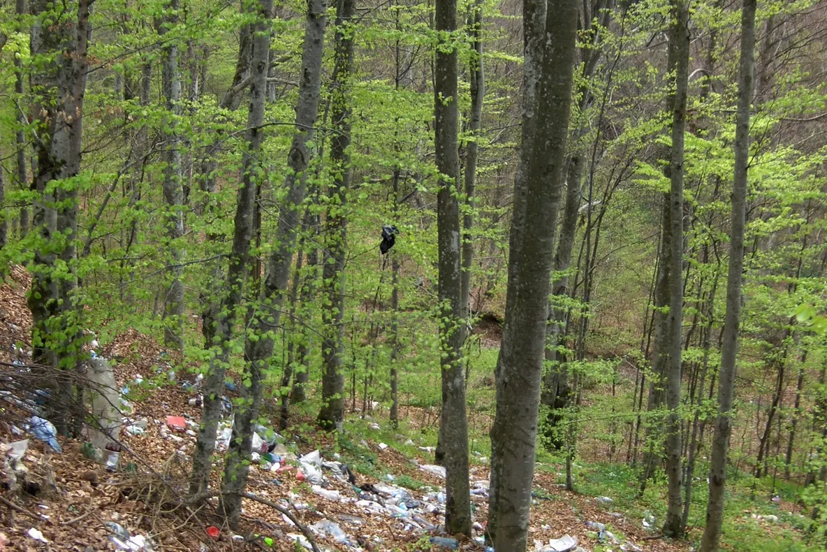 Gunoaie lăsate în urmă de turişti - pădurea Corund din Tg. Mureş