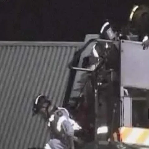 REALITATEA pe NET: Primul rinocer alb născut în captivitate în Spania