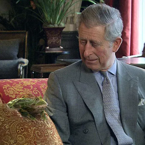 Prinţul Charles, alături de Harrison Ford şi de un broscoi, într-un filmuleţ despre salvarea junglelor - VEZI VIDEO