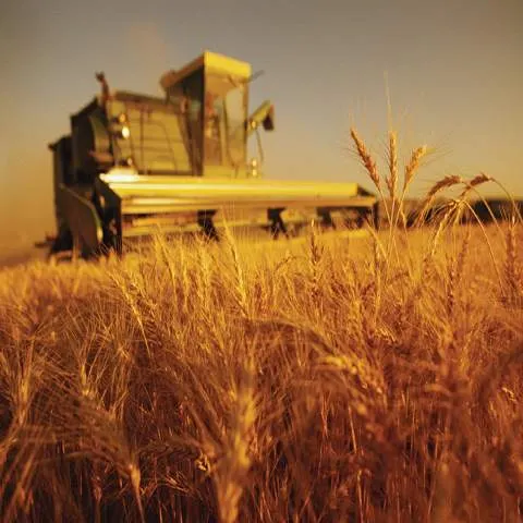 Descentralizarea Ministerului Agriculturii ar putea însemna şi reduceri de personal