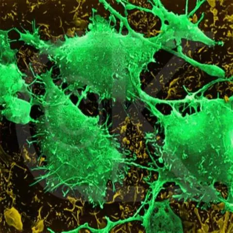 Pacienţii bolnavi de cancer pot alege între terapiile standard şi cele aflate în studii clinice