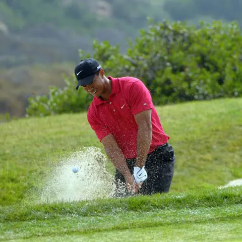 Tiger Woods îşi face teren de golf în România! Nu singur, ci alături de Al Gore!