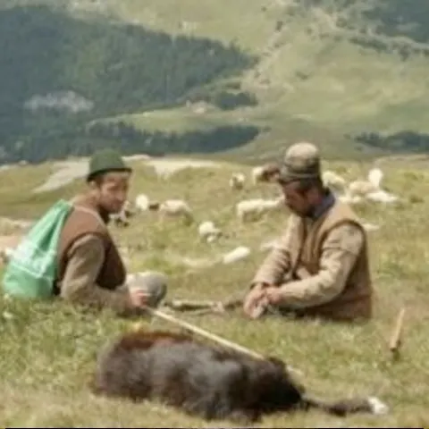 Clipul TIFF 2009 parodiază pelicula Brokeback Mountain