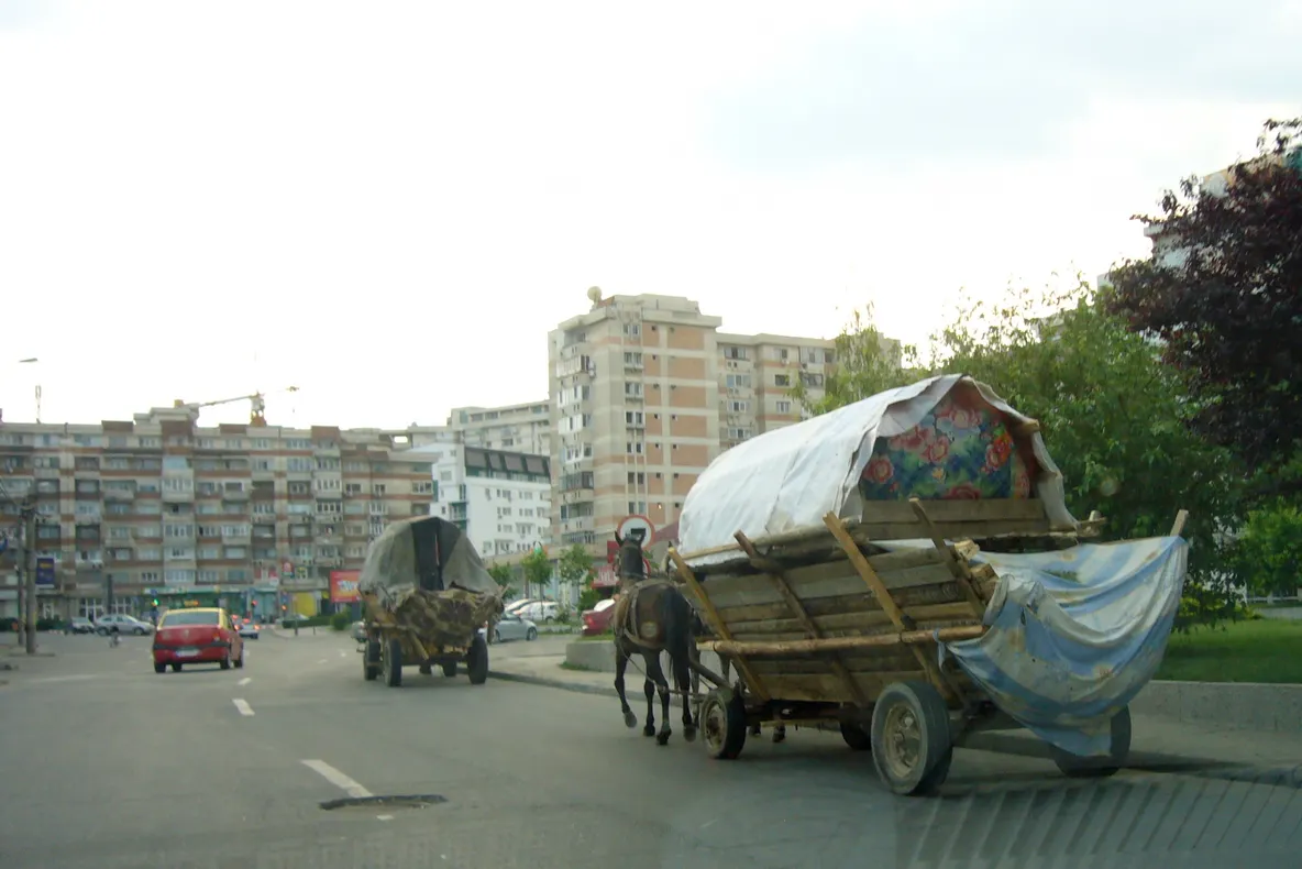 Cărunţe prin centrul oraşului Piteşti
