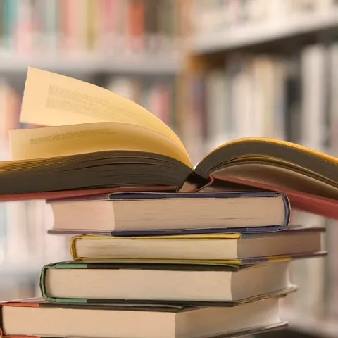 Premiile României Literare au fost decernate miercuri