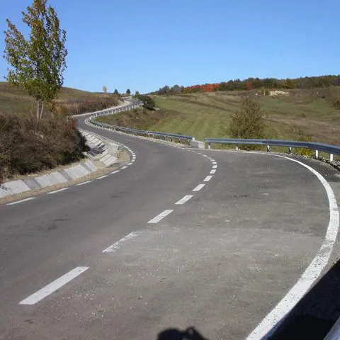 Anchetă internă la Regionala de Drumuri Bucureşti după reţinerea celor opt vameşi de la Giurgiu