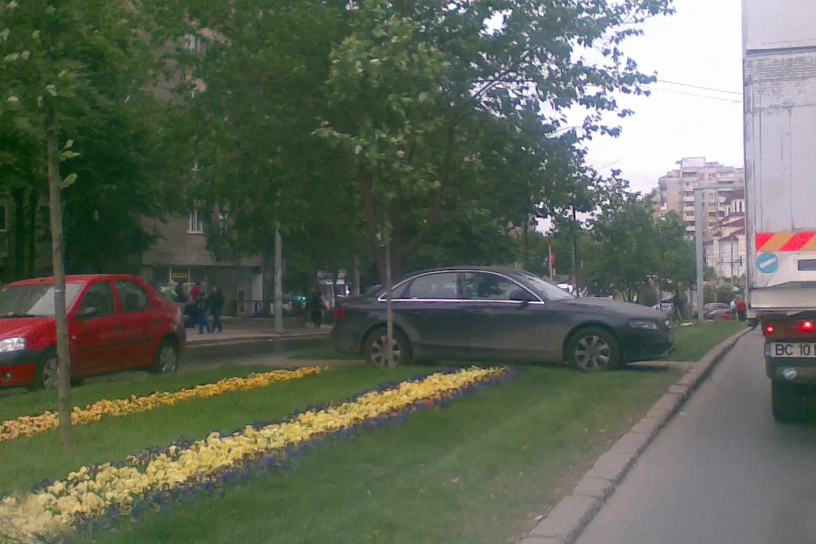Parcarea pe spaţiul verde