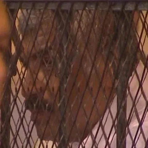 Un magnat egiptean a fost condamnat la moarte pentru că a comandat asasinarea unei foste iubite