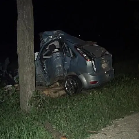 Un pilot militar a murit în judeţul Buzău după ce a intrat cu maşina într-un copac cu 210km/h