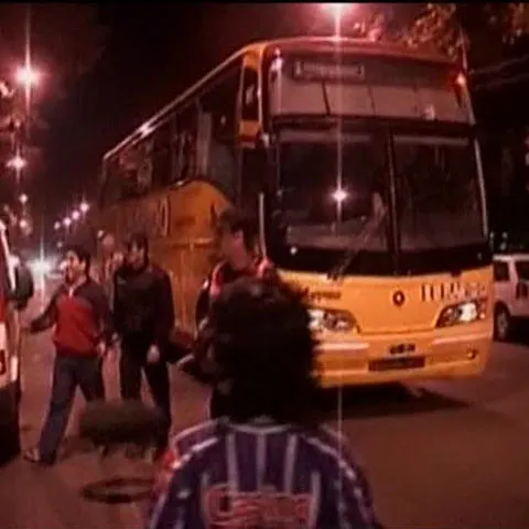 Gripa porcină provoacă isterie în Argentina - VEZI VIDEO