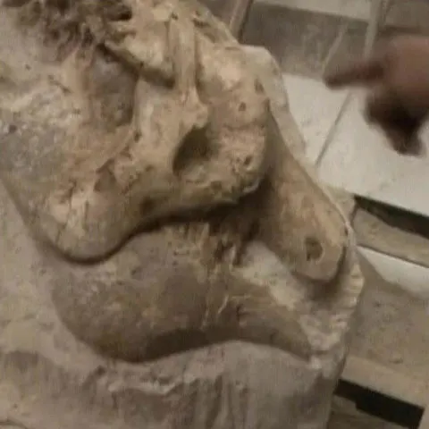 O echipă de muncitori a descoperit scheletul fosilizat al unui leneş 