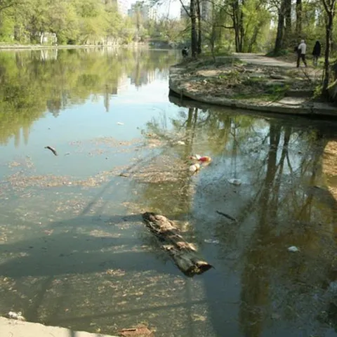 Un lac din Parcul Lia Manoliu s-a transformat într-o mlaştină 
