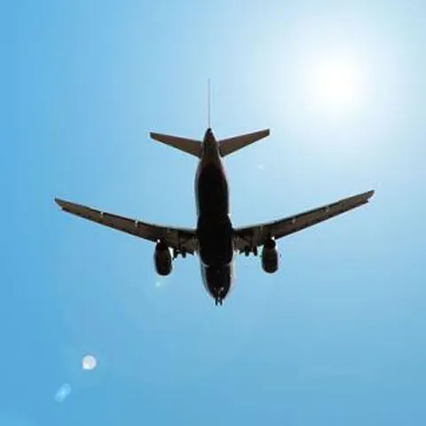 NewsIn: În avionul cu care a venit în România femeia cu gripă porcină au fost 93 de pasageri