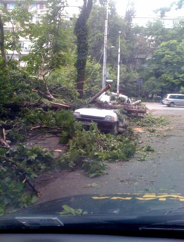 Imagini după furtună, în Bucureşti