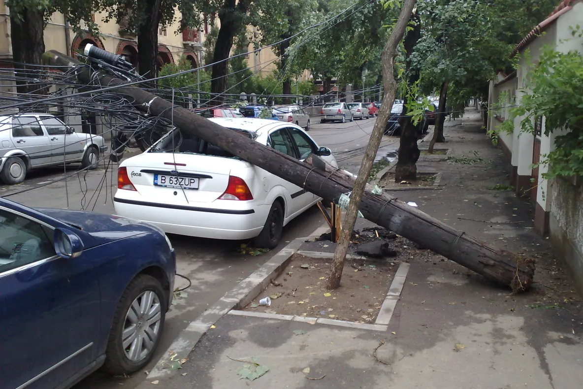 Strada Londra din Capitală - copaci căzuţi în urmja furtunii