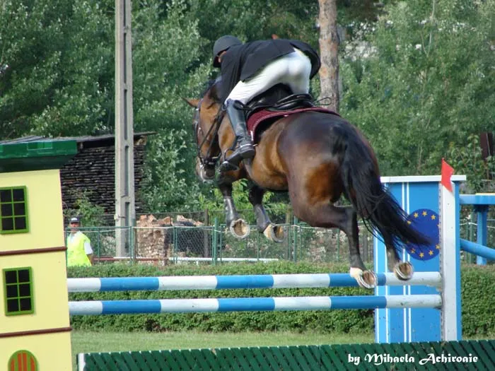 Cupa mondială de sărituri peste obstacole de la Piatra Neamţ