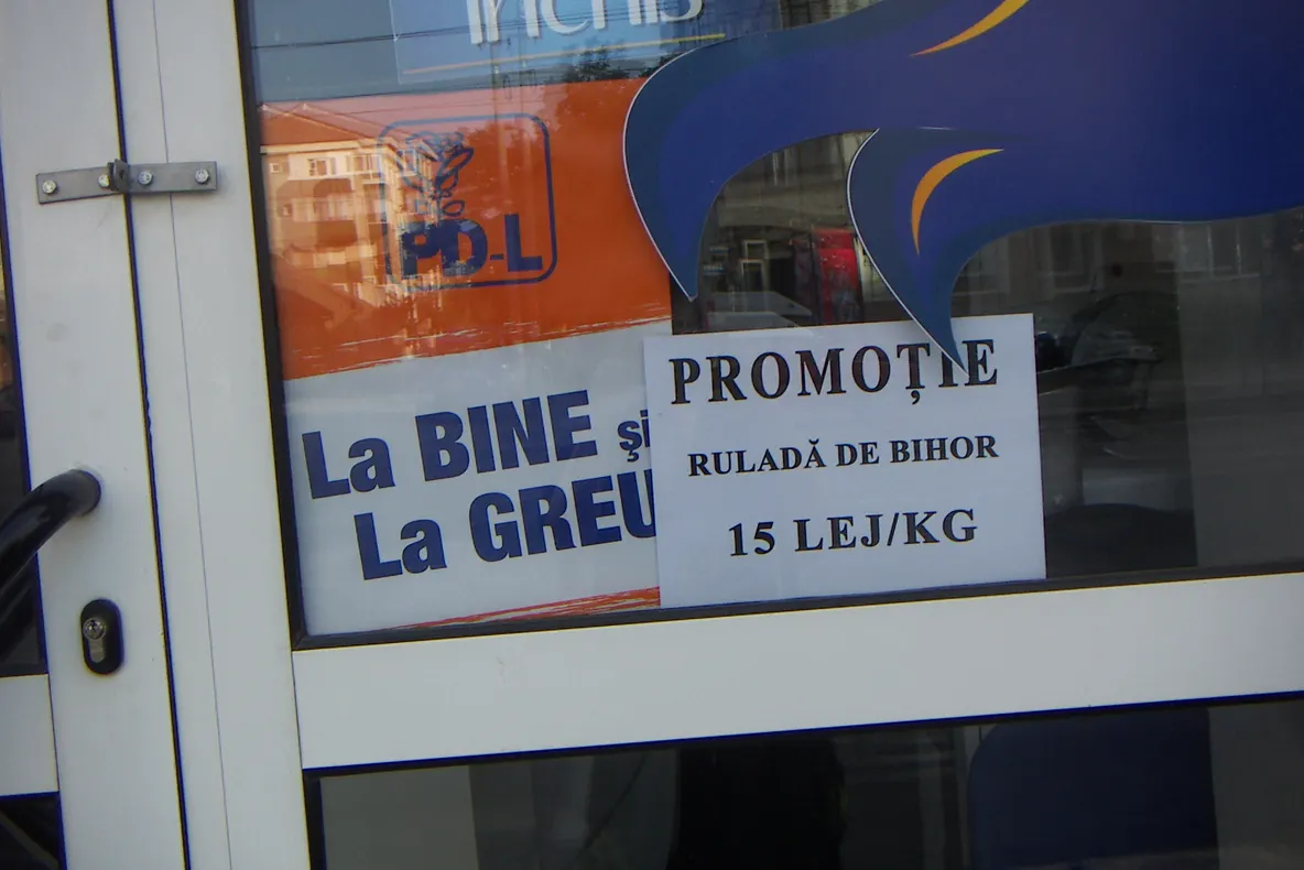 Afişe electorale în locuri nepotrivite