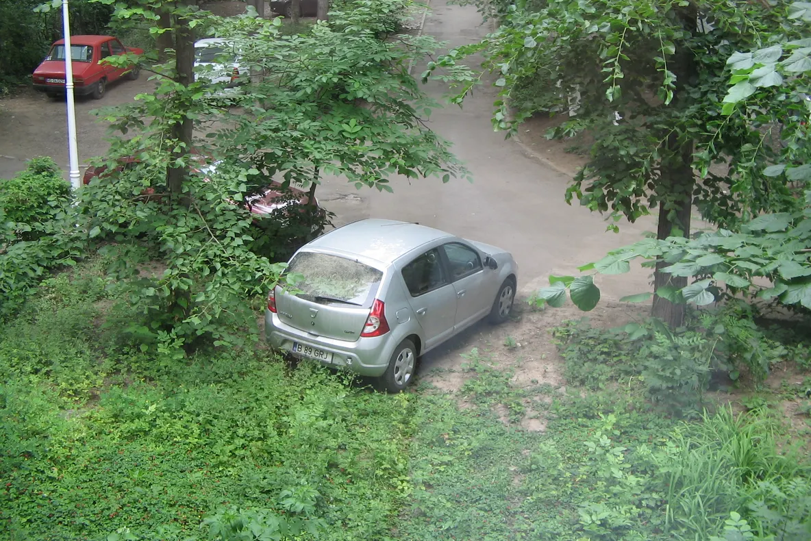 Parcarea pe spaţiul verde