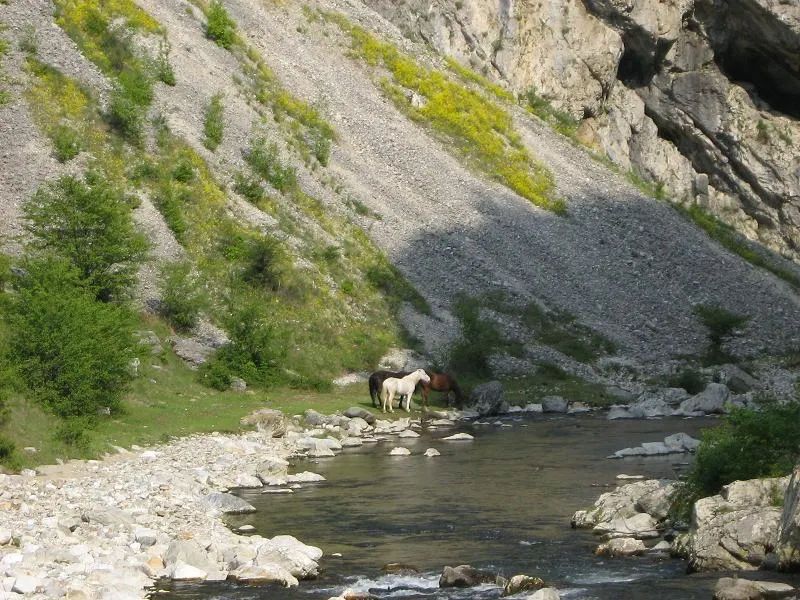La munte în Gorj