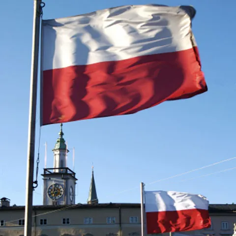 Polonia confirmă primul său caz de contaminare internă cu virusul gripei porcine