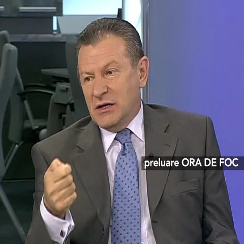 Radu Berceanu: PD-L a sacrificat voturi pentru a o ajuta pe Elena Băsescu