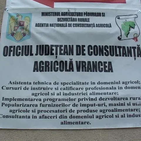 Unele instituţii subordonate Guvernului au câte doi directori, după contestarea demiterilor în instanţă
