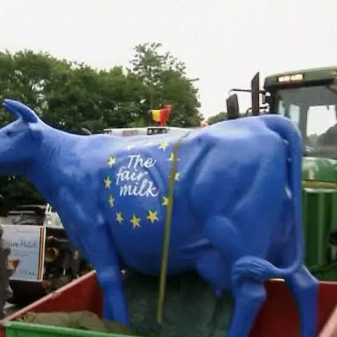 Ecologiştii şi fermierii au protestat la Bruxelles faţă de politicile UE