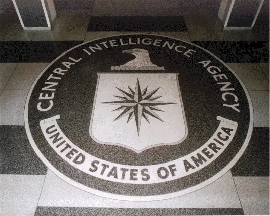 În plină recesiune, americanii se bat pentru un loc de muncă la CIA