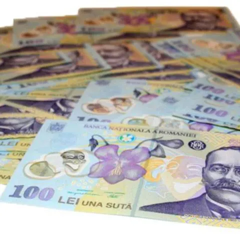 Salariile românilor nu vor creşte în 2009