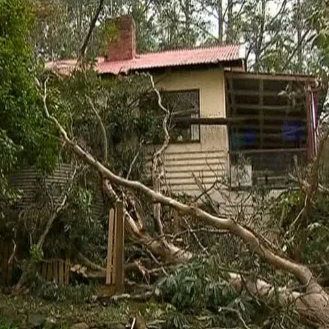 O femeie din statul Victoria, Australia, a murit strivită de un pom doborât de vânt