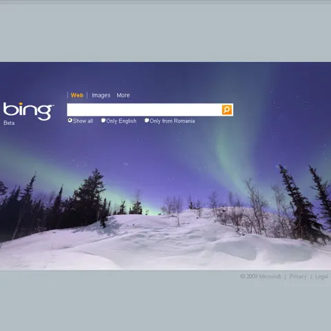 Motorul de căutare Bing a luat din cota Google în SUA