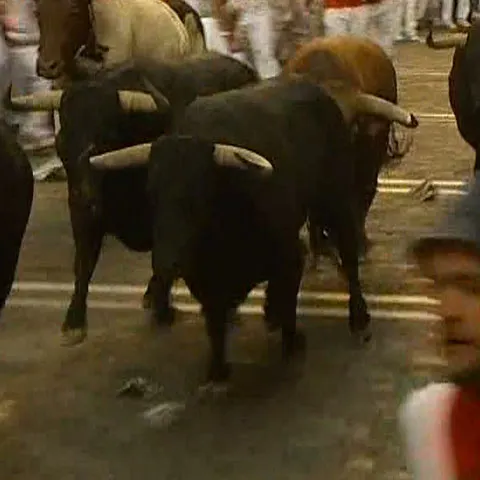 Un tânăr a murit în timpul unei curse cu tauri, la festivalul de la Pamplona